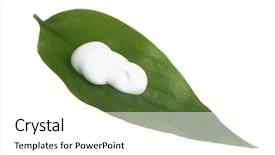  Presentation with anti age - Slides with creme anti age - leaf with skin care lotion background and a white colored foreground