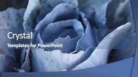  Presentation with food red - PPT layouts consisting of anti food cancer - background of red cabbage plant background and a ocean colored foreground