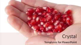  Presentation with palm oil seeds of tree - Amazing PPT theme having anti food cancer - pomegranate seeds on human palm backdrop and a  colored foreground