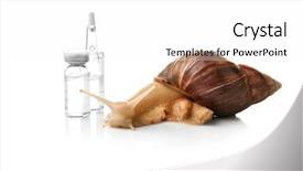  Presentation with serum - Audience pleasing theme consisting of anti serum - giant achatina snail and ampules backdrop and a white colored foreground