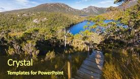  Presentation with dove - Theme enhanced with anti slip chicken wire mesh background and a tawny brown colored foreground