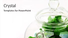  Presentation with herbal - Audience pleasing theme consisting of anticancer - herbal tea backdrop and a pink colored foreground