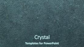  Presentation with wildlife - Amazing theme having marine animals ocean frame - antillean manatee trichechus manatus manatus backdrop and a ocean colored foreground