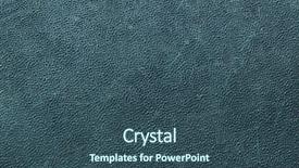  Presentation with wildlife - Amazing slide deck having marine animals ocean frame - antillean manatee trichechus manatus manatus backdrop and a ocean colored foreground