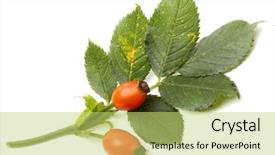  Presentation with high tea - Cool new presentation design with antioxidants the fruit is note backdrop and a yellow colored foreground