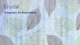  Presentation with linen - PPT layouts with antique blue cracked linen background with leaves background and a sky blue colored foreground