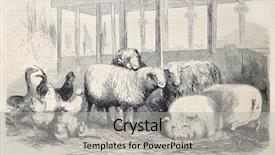  Presentation with journal - PPT layouts featuring antique illustration of farm animals background and a light gray colored foreground