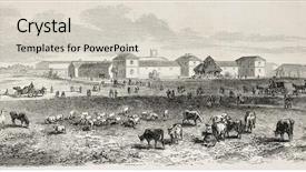  Presentation with farm - Slides having animal cartoon - antique illustration shows imperial farm background and a soft green colored foreground