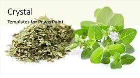  Presentation with oregano - Colorful slide deck enhanced with antiseptic - dry and fresh oregano backdrop and a blonde colored foreground