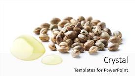  Presentation with antiseptic - Colorful presentation theme enhanced with antiseptic - hemp oil with seeds backdrop and a white colored foreground