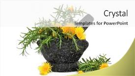  Presentation with mortar and pestle - Beautiful slide deck featuring portrait of young woman looking through a donut against a grunge wall backdrop and a dark gray colored foreground