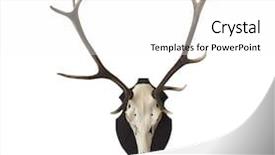  Presentation with antlers - Slides enhanced with strong skeleton - antlers on white background and a white colored foreground