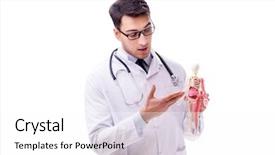  Presentation with skeleton for kids - Presentation having antomical presentation backgrounds - yong male doctor with skeleton background and a  colored foreground