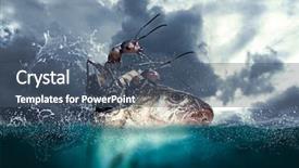  Presentation with ants - Slide set featuring ants seamen are fishing background and a ocean colored foreground