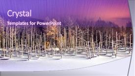  Presentation with japan naval - PPT theme having aoike blue pond in winter background and a violet colored foreground