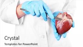  Presentation with heart - Presentation theme with aorta - doctor holding heart organ background and a white colored foreground