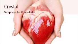  Presentation with hands heart - Amazing presentation theme having aorta - heart in female hands isolated backdrop and a lemonade colored foreground