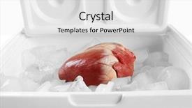  Presentation with electrical organ - Slide deck having aorta - heart organ in fridge close background and a light gray colored foreground