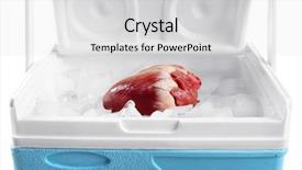  Presentation with fridge - Cool new PPT theme with aorta - heart organ in fridge close backdrop and a light gray colored foreground