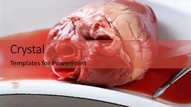  Presentation with medical heart - Slide set featuring aorta - heart organ in medical metal background and a red colored foreground