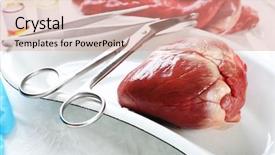  Presentation with medical heart - Presentation design with aorta - heart organ in medical metal background and a coral colored foreground