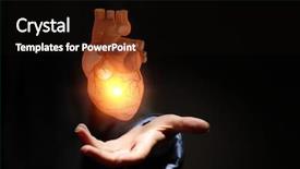  Presentation with hands heart - Slide set featuring aorta - man hands showing anatomical heart background and a wine colored foreground