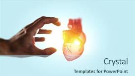  Presentation with hands heart - Beautiful PPT theme featuring aorta - man hands showing anatomical heart backdrop and a cool aqua colored foreground