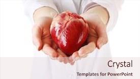  Presentation with hands heart - Presentation featuring aortia - heart in doctor hands isolated background and a lemonade colored foreground