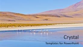  Presentation with lake - Presentation design with apa - bolivia antiplano - canapa lake background and a light blue colored foreground