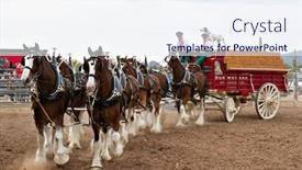  Presentation with budweiser - Audience pleasing presentation consisting of apache-junction-az-february-26 backdrop and a sky blue colored foreground