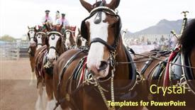  Presentation with budweiser - Presentation theme featuring apache-junction-az-february-26 background and a tawny brown colored foreground