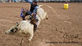  Presentation with rodeo - Slides consisting of apache-junction-az-february-26 background and a coral colored foreground