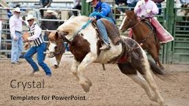  Presentation with rodeo - 