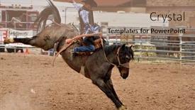  Presentation with rodeo - PPT layouts consisting of apache-junction-az-february-26 background and a coral colored foreground