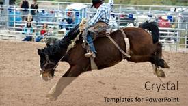  Presentation with rodeo - 