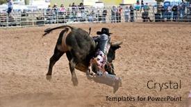  Presentation with rodeo - 