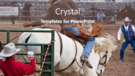  Presentation with rodeo - 