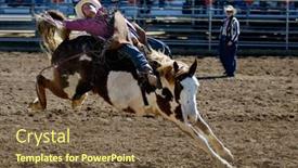  Presentation with rodeo - 