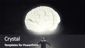  Presentation with spread - Colorful PPT theme enhanced with apart and big human brain backdrop and a dark gray colored foreground