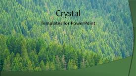  Presentation with forest - Amazing PPT layouts having apex - beautiful fir forest backdrop and a seafoam green colored foreground