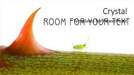  Presentation with garden - Presentation theme with aphids - green aphid on rose footstalk background and a white colored foreground