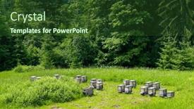  Presentation with honey - PPT theme with apiary-in-the-forest-wooden background and a tawny brown colored foreground