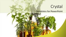  Presentation with nettle - Presentation design featuring apothecary - various herbs - white nettle background and a soft green colored foreground