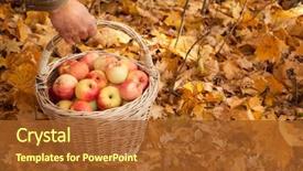  Presentation with fall leaves - PPT theme having basket with apples in man' background and a tawny brown colored foreground
