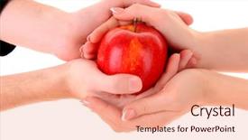  Presentation with love between man and woman - Slides featuring eggs in a blue carton background and a light gray colored foreground