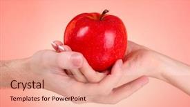  Presentation with love between man and woman - Audience pleasing presentation theme consisting of apple between man and woman backdrop and a coral colored foreground