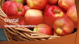  Presentation with crop - Colorful slide deck enhanced with apple crop in a basket as background backdrop and a crimson colored foreground