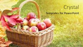  Presentation with harvest - Cool new presentation theme with apple-harvest-ripe-red-apples backdrop and a yellow colored foreground