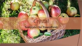  Presentation with green apple - Amazing PPT theme having apple-harvest-ripe-red-apples backdrop and a coral colored foreground