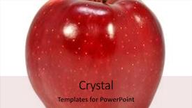  Presentation with monarch butterfly isolated on white - Presentation theme enhanced with apple isolated on white background and a red colored foreground